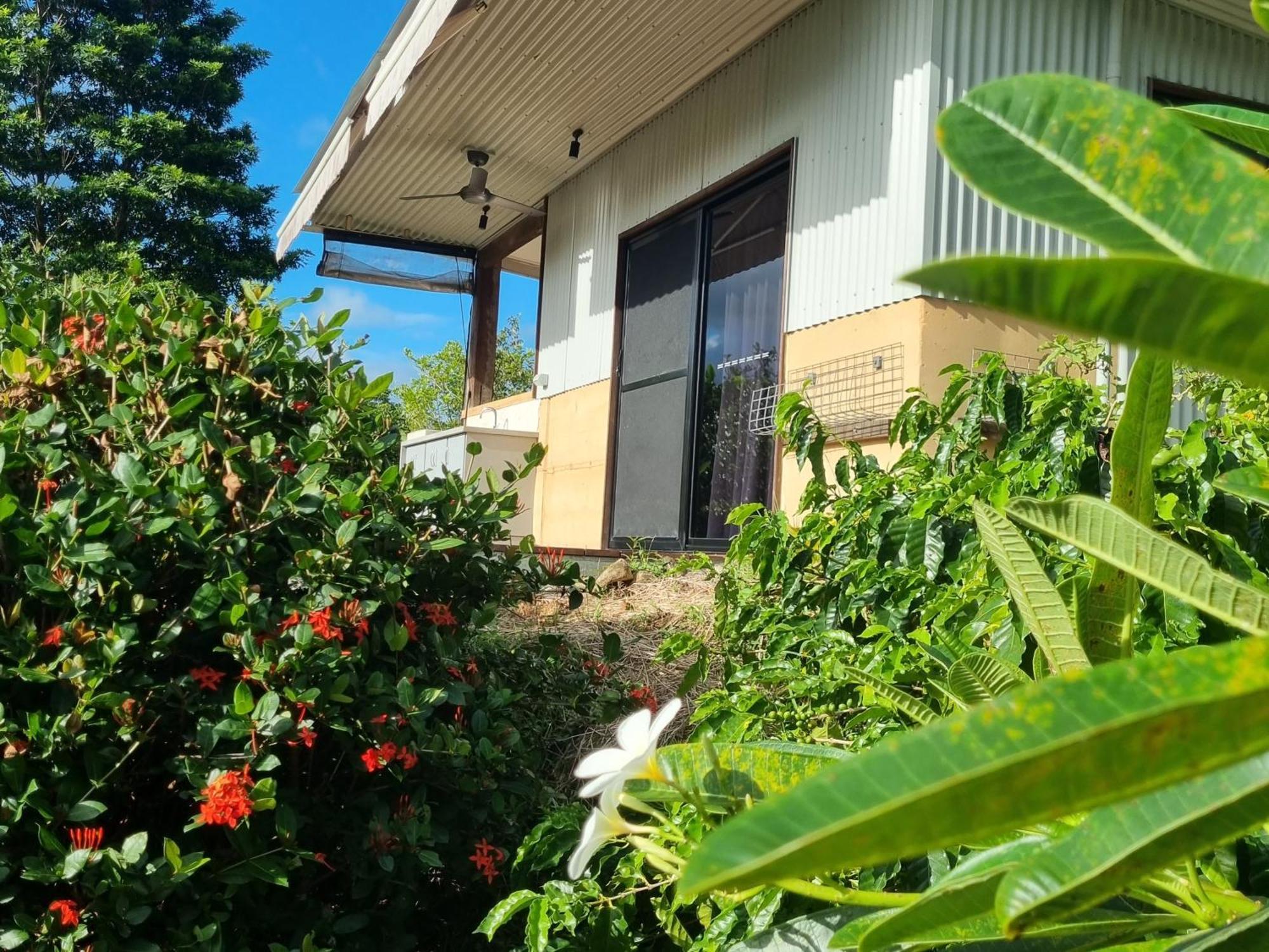 Wompoo Eco Retreat Bed & Breakfast Cow Bay Exterior photo